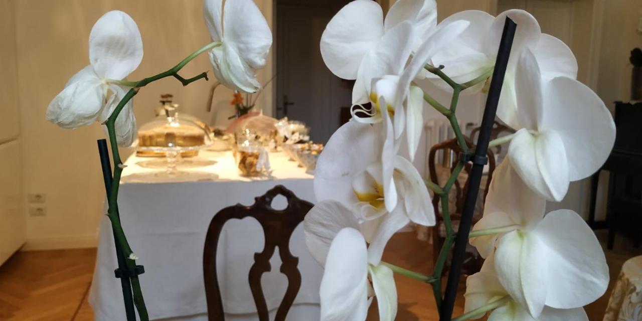 La Belle Coquette Bed & Breakfast Como Exterior photo